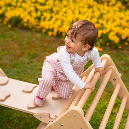 Maxi Set - Pikler Triangle, Ramp & Arch