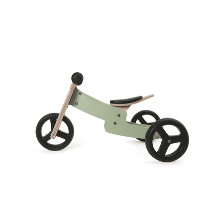 2 in 1 Tricycle & Balance Bike