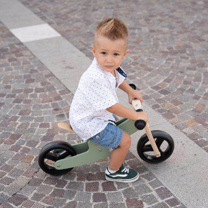2 in 1 Tricycle & Balance Bike