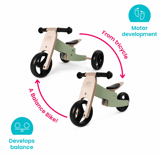2 in 1 Tricycle & Balance Bike