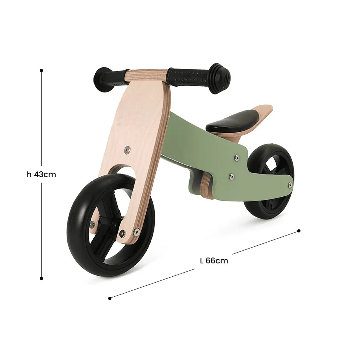 2 in 1 Tricycle & Balance Bike